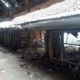 Tak Segera Renovasi, Pedagang Bunga Enggan Relokasi