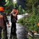 Wagub Emil Minta Masyarakat Tingkatkan Kewaspadaan