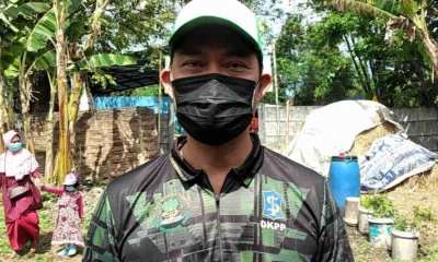 Jelang Idul Adha, DKPP Akan Periksa Hewan Kurban di Seluruh Wilayah Kota Surabaya