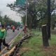 Antisipasi Pohon Tumbang, DKRTH Kota Surabaya Lakukan Perantingan dan Pembersihan Sampah
