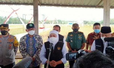 Pastikan Ketahanan Pangan, Gubernur Jatim Tinjauan dan Panen Raya Padi bersama Bupati Malang