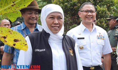 Launching Kawasan Perdesaan Arjuna, Gubernur Khofifah Minta Kopi Bumiaji Masuk Communal Branding